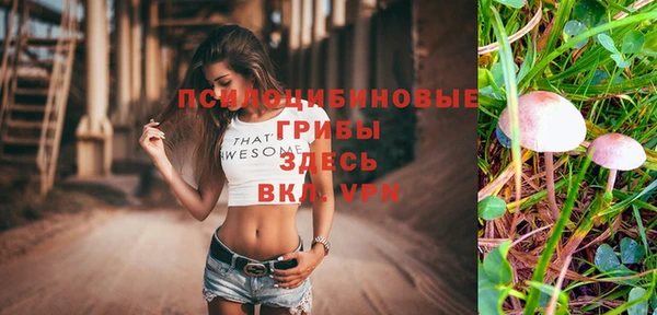 стафф Навашино
