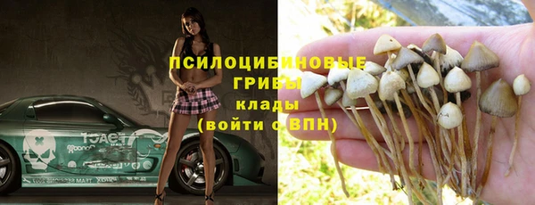 мдпв Надым