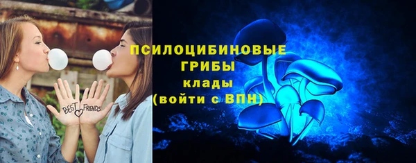 мдпв Надым