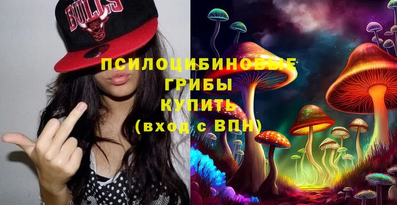 Псилоцибиновые грибы MAGIC MUSHROOMS  купить  цена  Бавлы 